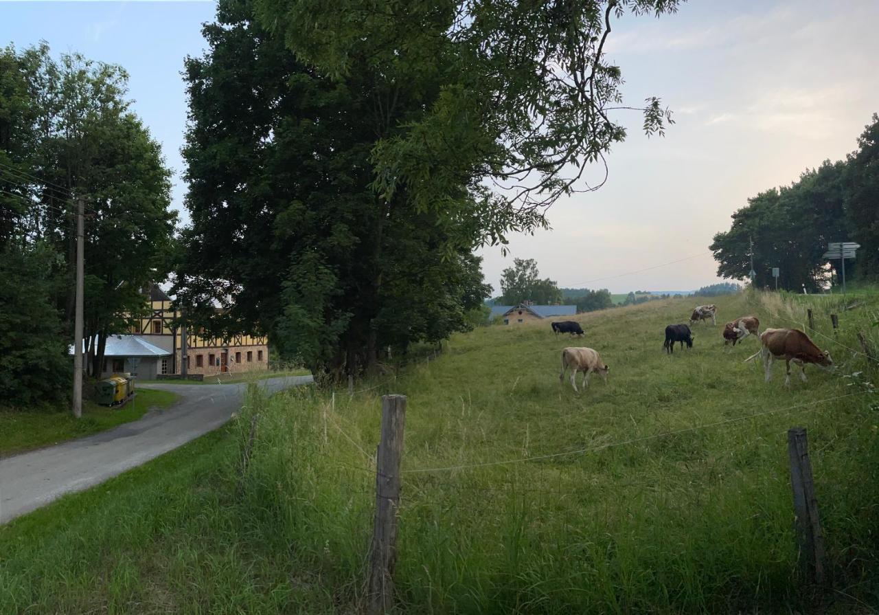 Penzion Stara Skola Vikantice Экстерьер фото